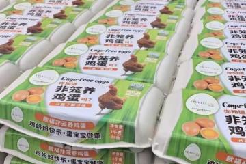 欧福蛋品加工企业在中国苏州首发非笼养鸡蛋